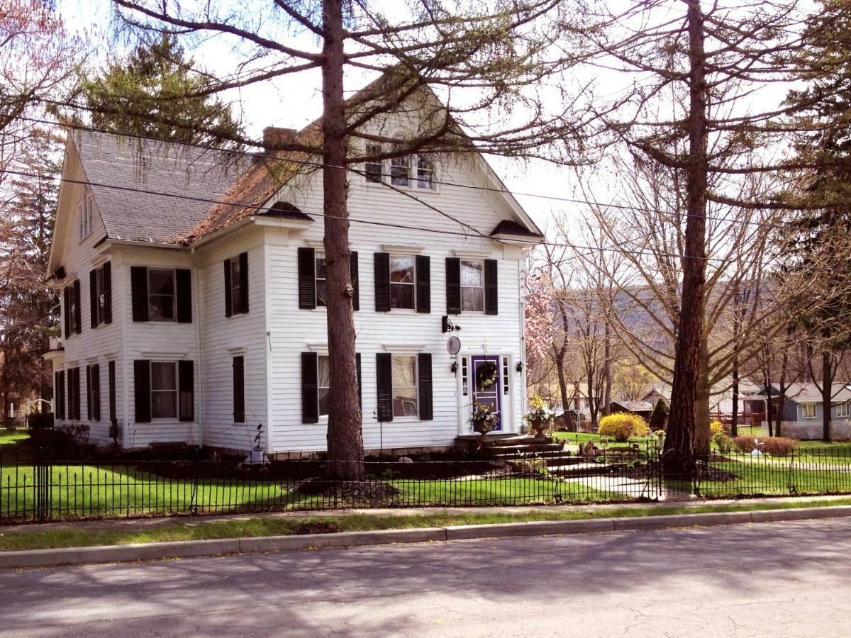 18 Vine Inn & Carriage House Hammondsport Esterno foto